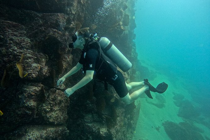 Los Cabos Open Water Diver Course - Boat Days, Captain Control, and What Safety Looks Like