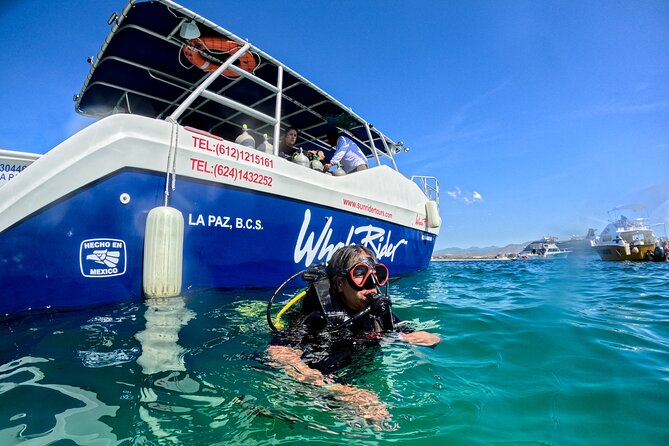Los Cabos Open Water Diver Course - Gear, Food, and the Small Things That Keep You Relaxed