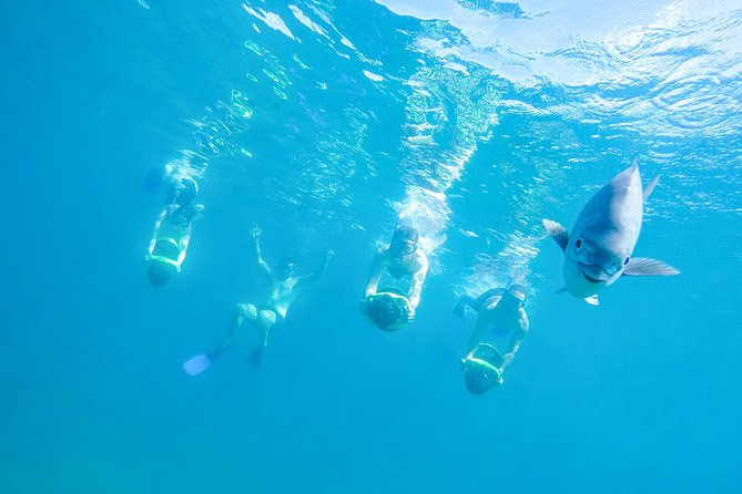 Los Cabos Power snorkel Adventure, Kayaking and Stand-Up Paddle - Key points to know before you go