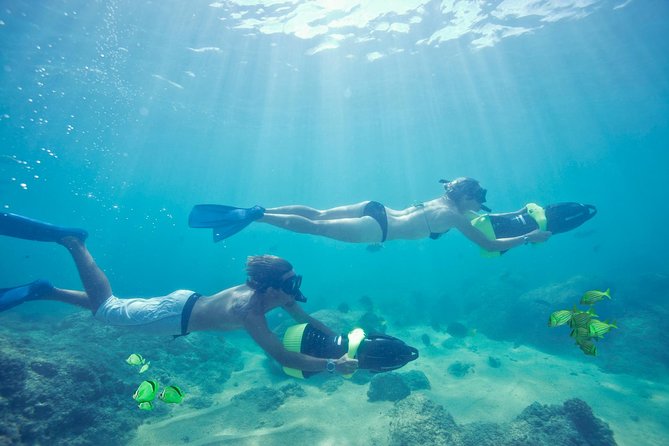 Los Cabos Power snorkel Adventure, Kayaking and Stand-Up Paddle - Playa El Chileno: where the water menu turns real