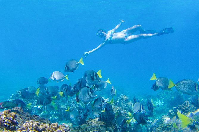 Los Cabos Power snorkel Adventure, Kayaking and Stand-Up Paddle - Boat, comfort, and safety reality checks