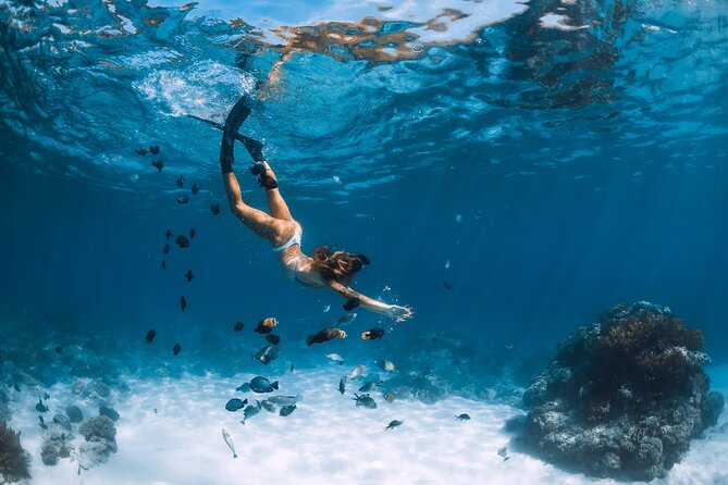 Los Cabos Power snorkel Adventure, Kayaking and Stand-Up Paddle - The coast cruise and El Arco views: the ride has its own payoff
