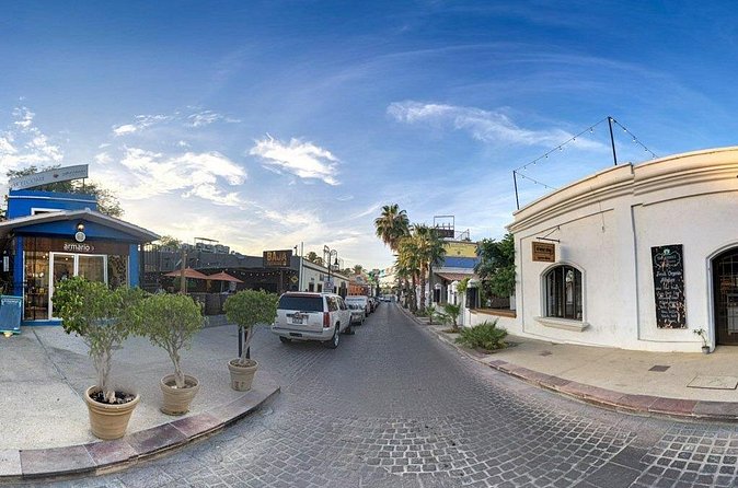 Los Cabos Private City Tour with Guide - Who this tour fits best (and who should skip it)