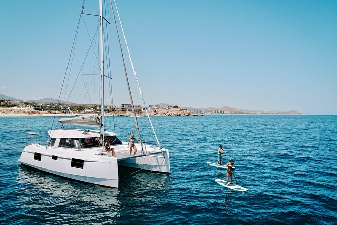 Los Cabos Seasonal Whale Watch and Snorkel Tour - Key things that make this tour worth your time
