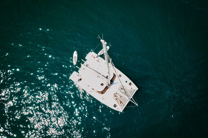 Los Cabos Seasonal Whale Watch and Snorkel Tour - Whale watching in winter: what matters on the water