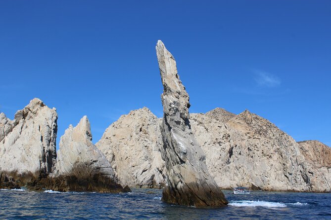 Los Cabos Snorkel & Pirate Ship Fun Adventure with Lunch - Price and value: what the $99 really buys