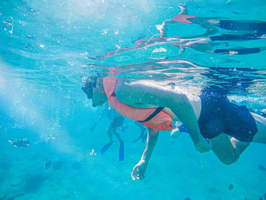 Los Cabos: Snorkeling Cruise with Lunch - What the 3.5-Hour Cruise Really Feels Like in Cabo