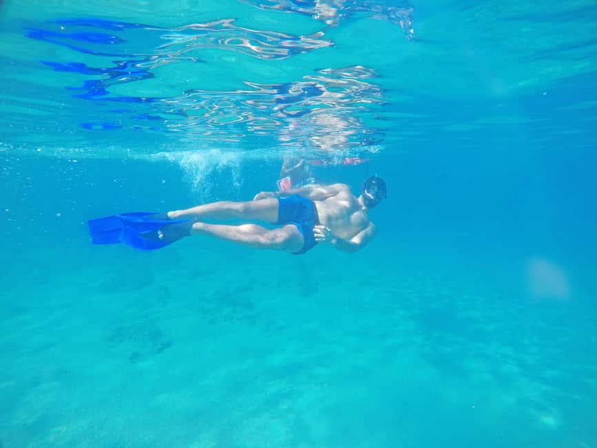 Los Cabos: Snorkeling Cruise with Lunch - Sea of Cortez Cruise: Scenery Plus Music and Party-Boat Momentum