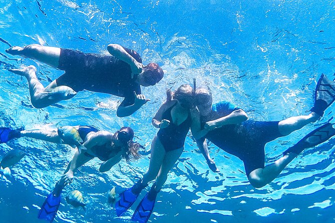 Los Cabos Snorkeling Tour by Speed Boat with Photos Included - Value check: is $89 worth it?