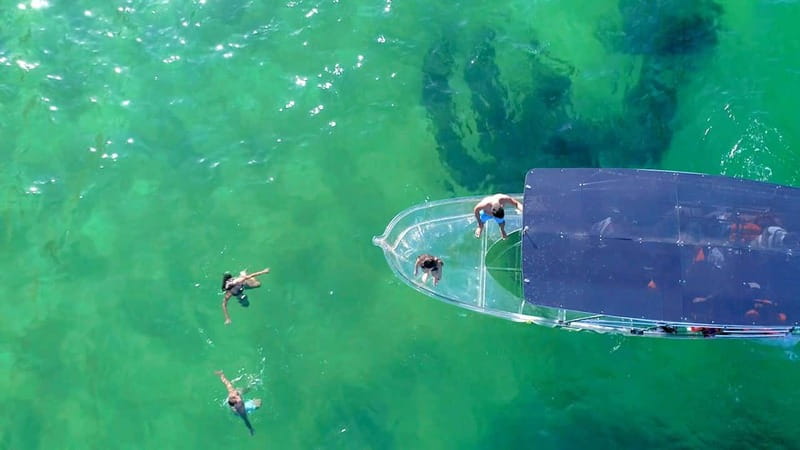 Los Cabos: Transparent Boat Tour with Optional City Tour - Practical Tour Flow: How the Day Usually Moves and Why It Matters