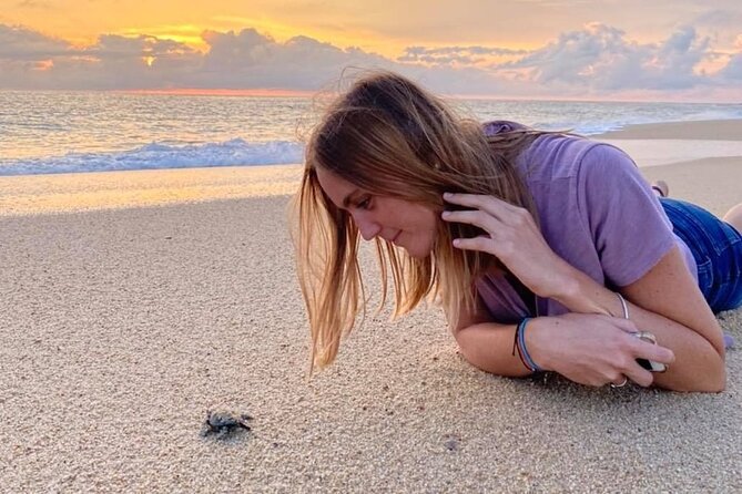 Los Cabos turtle release conservation program - What is included, what costs extra, and what to bring