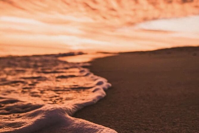 Los Cabos turtle release conservation program - Cancellations and the reality of hatchlings