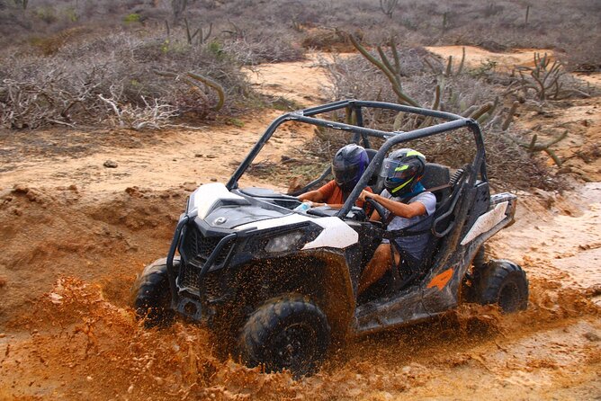 Los Cabos UTV Outdoor Experience to the Hidden Arch - Quick highlights
