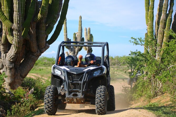 Los Cabos UTV Outdoor Experience to the Hidden Arch - Price and value: $139, plus what might still cost extra