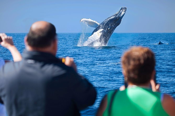 Los Cabos Whale Watching Cruise Including Breakfast - Entering The Cabo Marina at 9:00 am With Breakfast Ready