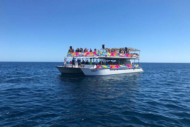 Los Cabos Whale Watching Cruise Including Breakfast - Breakfast on Board: Mexican Favorites, Coffee or Tea, and Beverage Flow