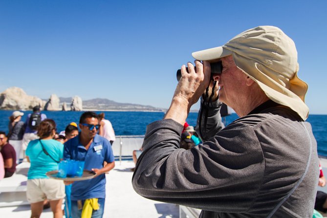 Los Cabos Whale Watching Cruise Including Breakfast - Practical Tips to Get the Best Whale Watching Results