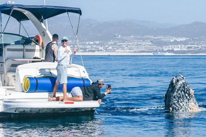 Los Cabos Whale Watching & Snorkel Adventure with Food & Drinks - Key things that make this tour worth your attention