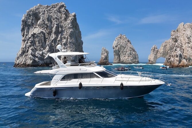 Los Cabos Whale Watching & Snorkel Adventure with Food & Drinks - Price and value: what $999 per group really buys you