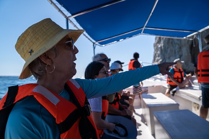 Los Cabos Whale Watching (Transportation and Pictures Included) - Price and Value: What You Get for $90 Per Person