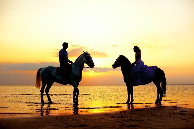 Love is in the air: Private Cabo Beach Sunset Horse Ride W Dinner - Key Highlights You Should Know