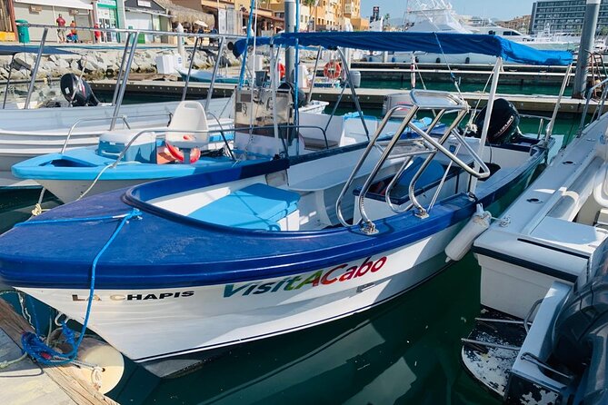 Lovers Beach and El Arco Boat Trip - Key highlights before you go