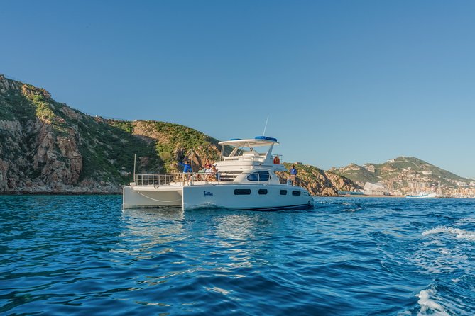Luxury Catamaran Whale Watching Cabo San Lucas - Pickup Timing: Door-to-Door Beats Finding the Dock
