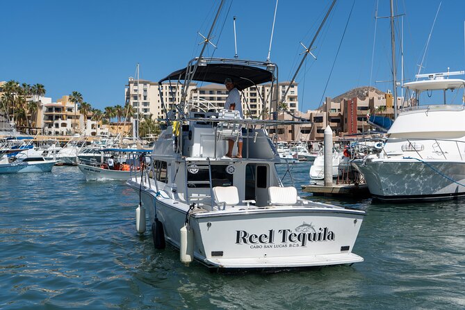 Luxury Private Yacht Charter in Cabo San Lucas Mexico - Sea Lions and Scobby-doo Rock: The Fun Detour You’ll Remember