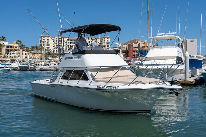 Luxury Private Yacht Charter in Cabo San Lucas Mexico - What’s Included, What You’ll Handle Yourself