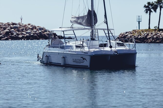 Luxury Snorkel Adventure in Cabo - Who should book this Cabo luxury snorkel adventure?