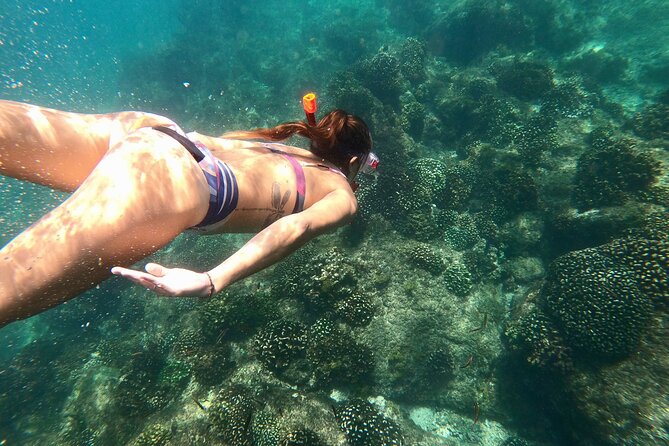 Luxury Snorkel Adventure in Cabo - Price and logistics: what actually costs more than $149