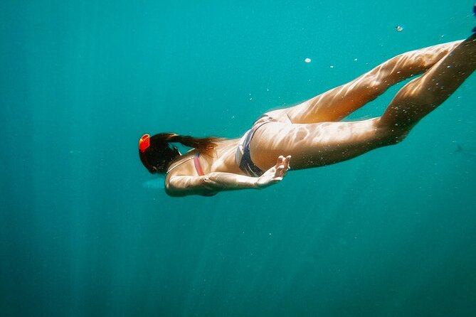 Luxury Snorkeling Tour in Cabo San Lucas - Price and Value: What $149 Buys (and What to Budget for)