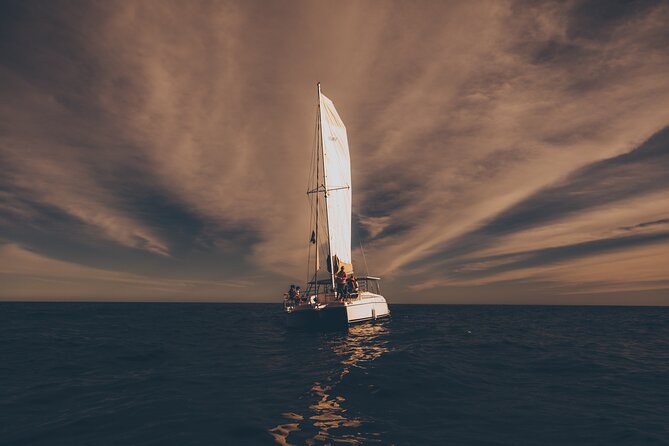 Luxury Whale Watch Cruise to The Arch Los Cabos - The 16-person limit and how it affects your view