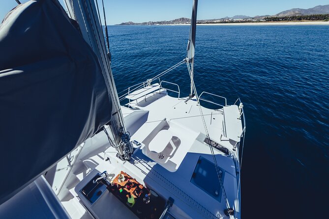 Luxury Whale Watch Cruise to The Arch Los Cabos - Stop 1: Cabo San Lucas, the easy warm-up