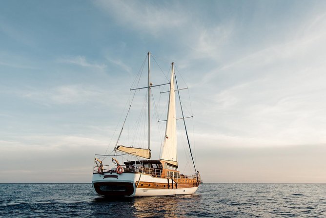 Luxury Yacht Snorkeling & Lunch Cruise from Cabo San Lucas - Chileno Bay Snorkeling: Gear Included, Guidance Provided, Timing Matters