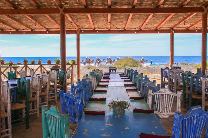Magical Todos Santos Tour, Camel Ranch, Lunch and Tequila - Hotel California time: how to use your free hour
