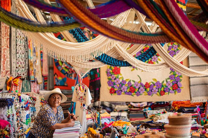 Magical Todos Santos Tour, Camel Ranch, Lunch and Tequila - Tierra Sagrada camel ranch: the photo moment, done right