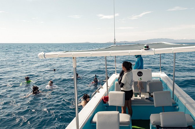 Marine Safari in La Ventana - The guides make or break a wildlife day