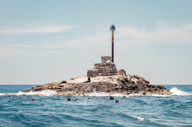 Marine Safari in La Ventana - Safety and comfort at sea: what to expect