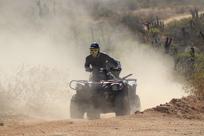 Migriño Beach & Dunes off-road Tour ATV - Should you book the Migriño Beach and Dunes ATV tour?