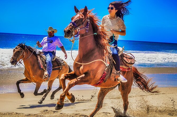 Migriño Beach Horseback Riding Experience - Migriño Beach Horseback Riding Near Cabo San Lucas: What Makes It Special