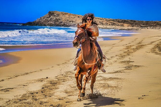 Migriño Beach Horseback Riding Experience - Price and the Park Fee: Is $99 Really a Deal?