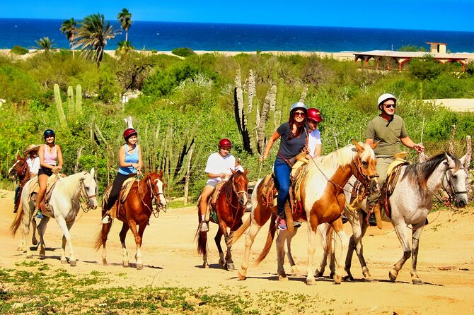 Migriño Beach Horseback Riding Experience - 3 Hours on the Schedule: Pickup, Ride Time, and Group Size