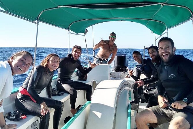 Mobula Ray and Ocean Safari Day Trip - Why This La Ventana Mobula Ray Safari Starts at 5:30 am