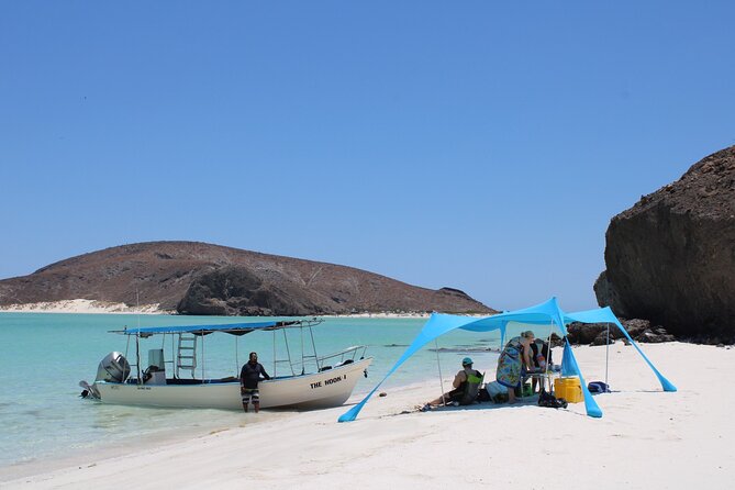 Most Popular Tour in La Paz Isla Espíritu Santo and Sea Lions - Key things to know before you go