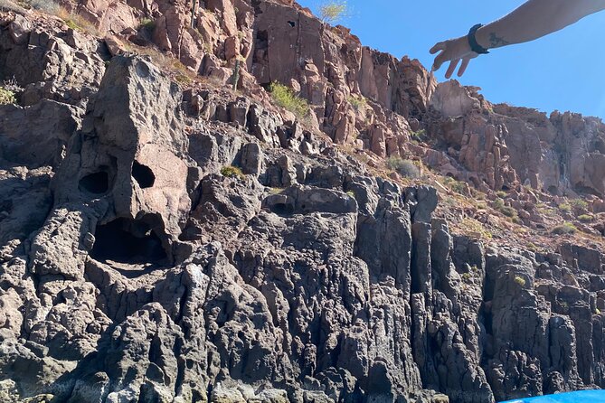 Most Popular Tour in La Paz Isla Espíritu Santo and Sea Lions - Los Islotes sea lion snorkeling: your best wildlife moment, with strict limits