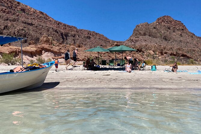 Most Popular Tour in La Paz Isla Espíritu Santo and Sea Lions - The best fit: who will love this day and who might not