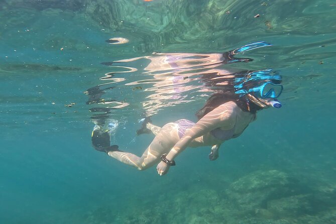 MOST POPULAR TOUR IN LA PAZ! Swim with Sea Lions Private Boat - Los Islotes sea lion slot: what the 30 minutes really means