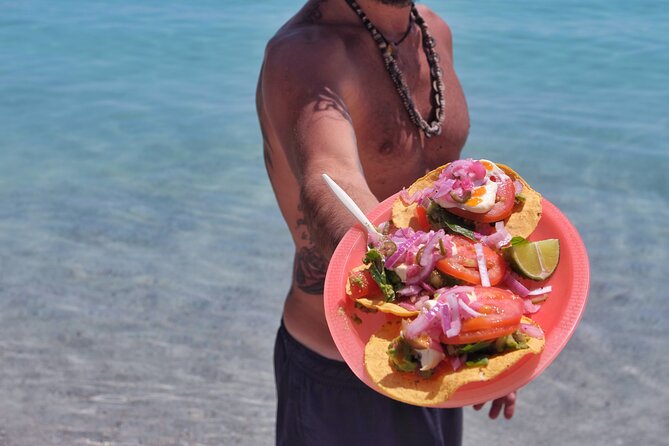 MOST POPULAR TOUR IN LA PAZ! Swim with Sea Lions Private Boat - Ensenada Grande lunch and shade time you’ll actually use