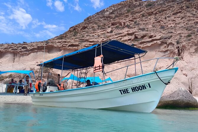 MOST POPULAR TOUR IN LA PAZ! Swim with Sea Lions Private Boat - Snorkeling reality check: conditions, jellyfish, and staying comfy